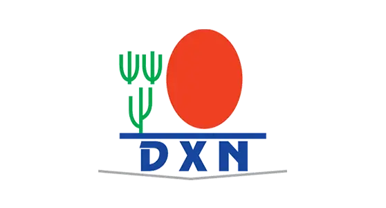 dxn-2-1